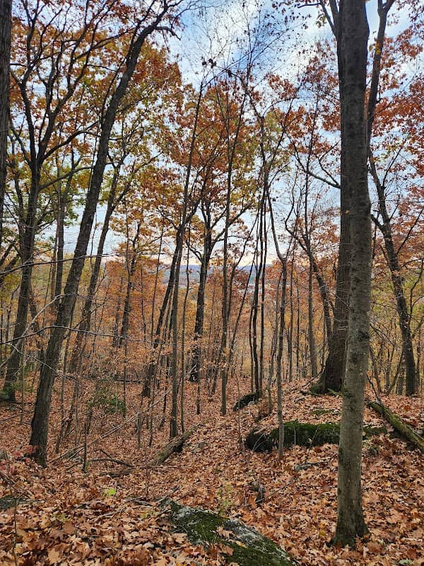 Shangri-La Nature Preserve - Image 1