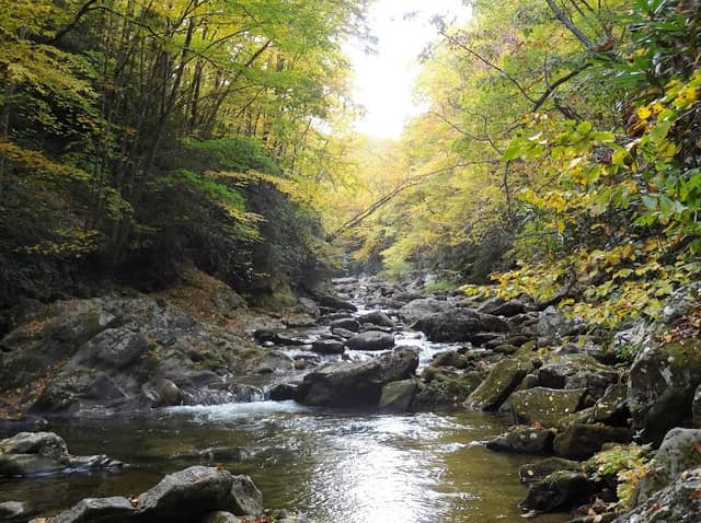 Shining Creek Path Trail Head - Image 1