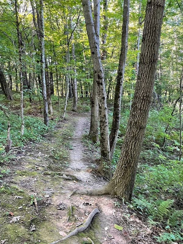 Schiffendecker Farm Preserve - Image 2