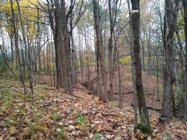 Schiffendecker Farm Preserve - Image 1