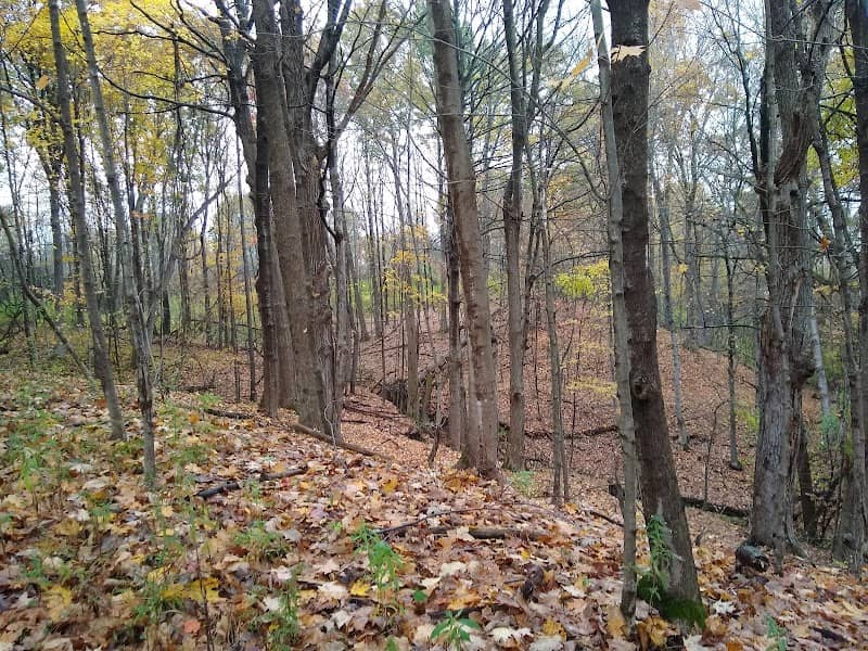Schiffendecker Farm Preserve - Image 1