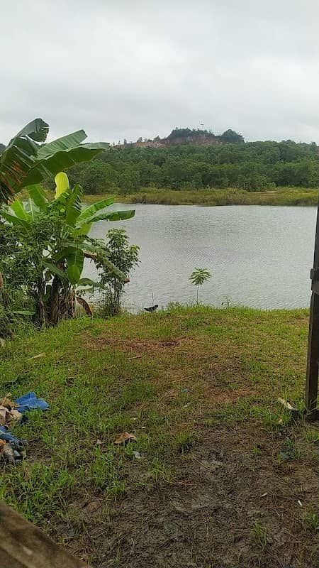 Danau H. ILAN - Image 1