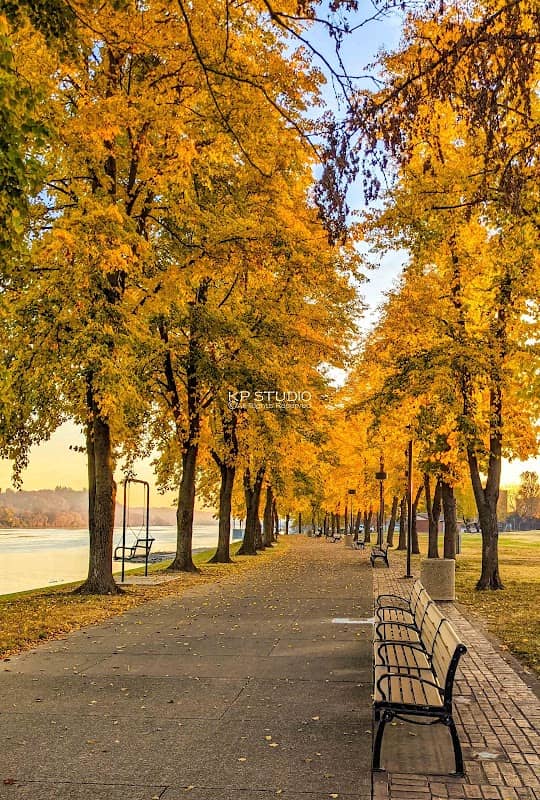 Harris Riverfront Park - Image 2