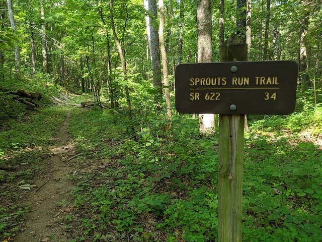 Sprouts Run Trailhead Eastside - Image 1