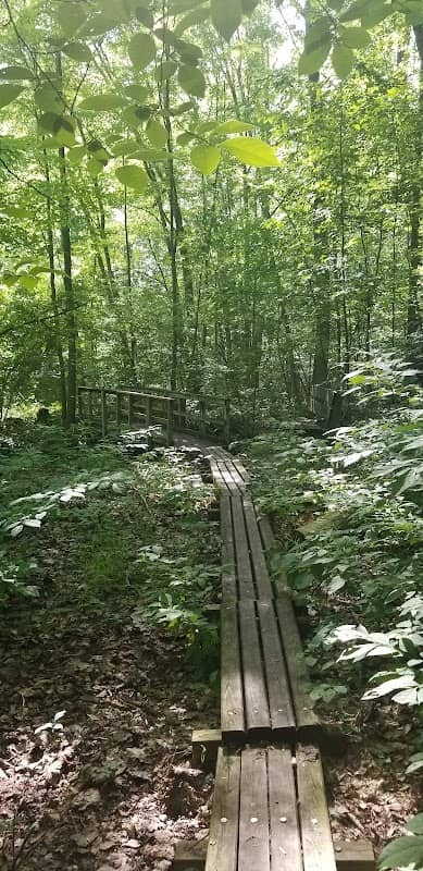 Hix Park - Image 1