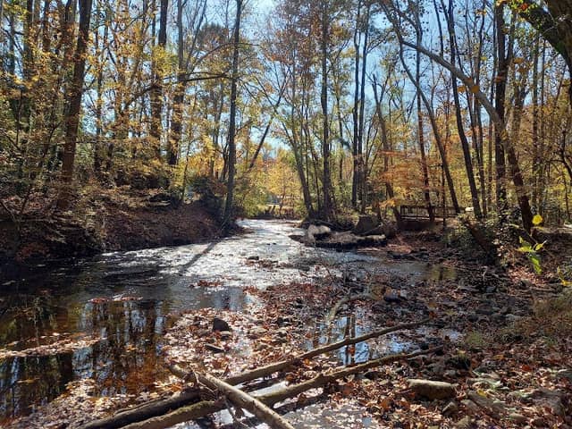 Hitchcock Creek Trail - Image 2