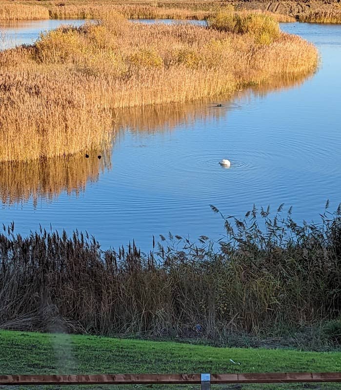 Beeby's North lake - Image 2