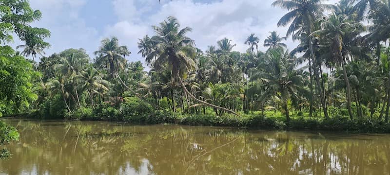Ponmanikudam Kadavu - Image 1