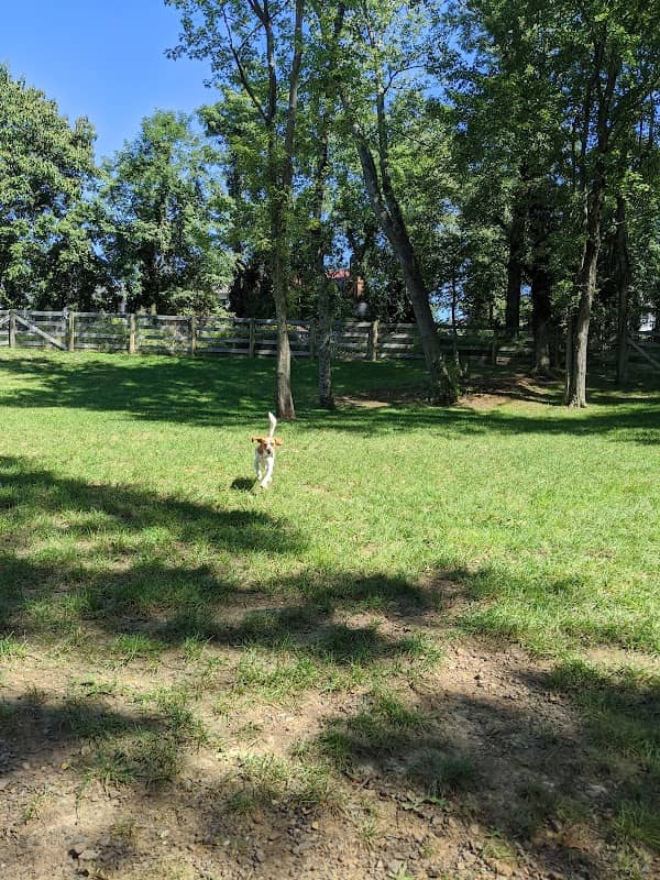 Warrenton Dog Park - Image 2