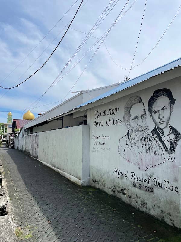 The Letter From Ternate - Image 1