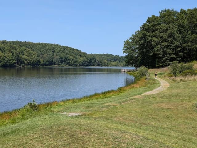 Big Ditch Wildlife Management Area - Image 1