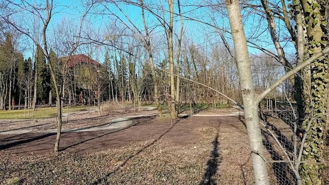Ogród Dendrologiczny - Image 1