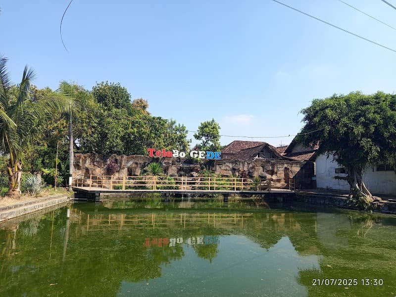 TELOGO GEDE - Image 1