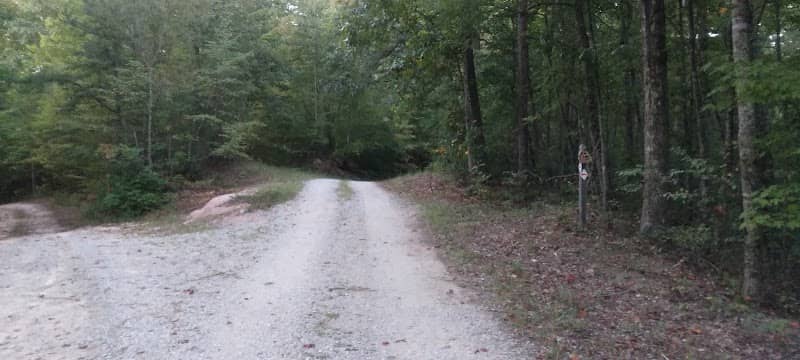 Sheltowee Trace Trail #100 Section 24 Hawk Creek - Image 1