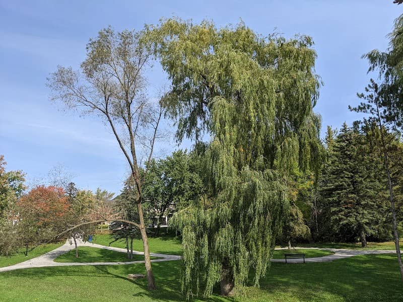 Woodbridge Highlands Park - Image 2
