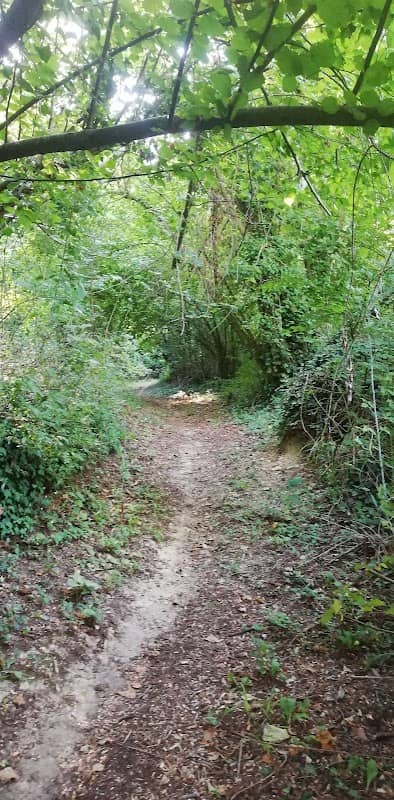 Parco dell'Annunziata - Image 1
