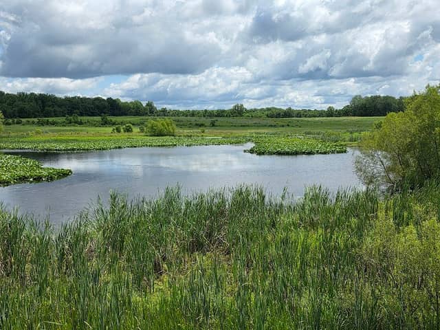 Muscatatuck National Wildlife Refuge - Image 2