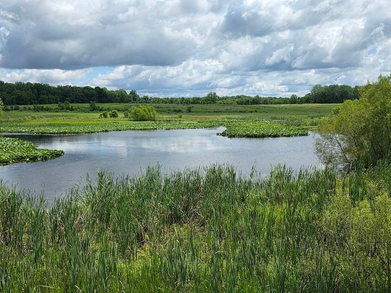 Muscatatuck National Wildlife Refuge - Image 2