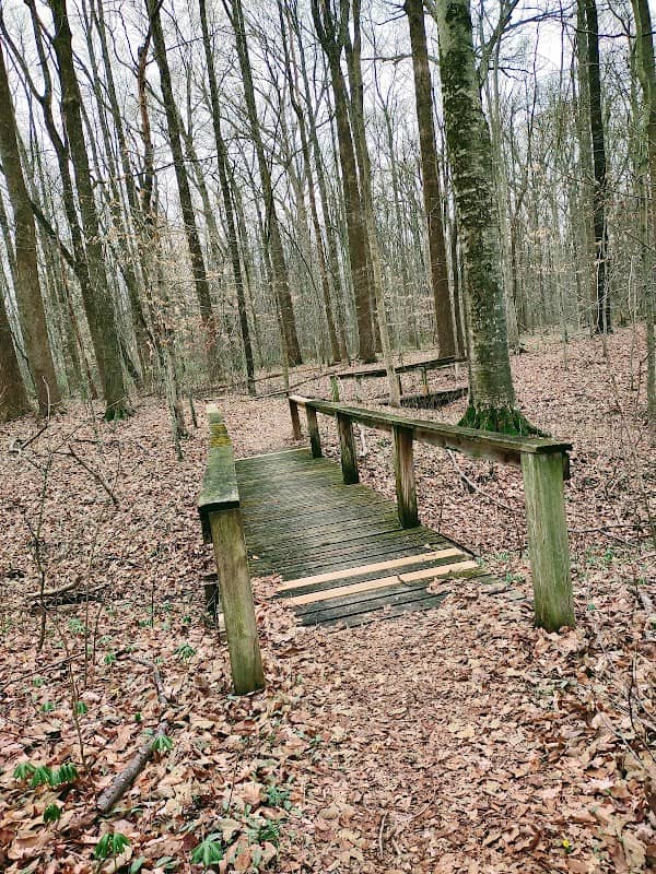 Muscatatuck National Wildlife Refuge - Image 3