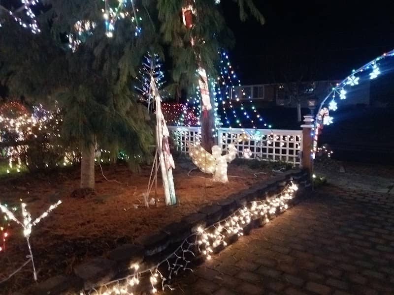 Cedar Street Park - Image 2