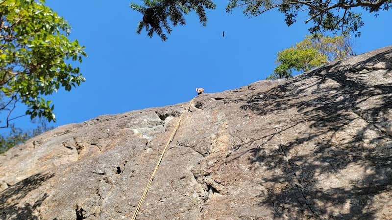 Powerline Wall - Image 3