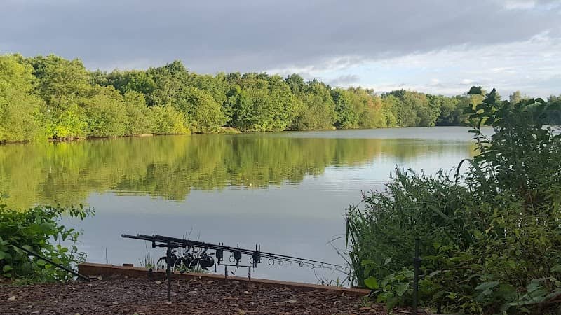 Packington Park - Image 1