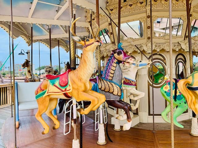 Barefoot Landing Carousel - Image 2