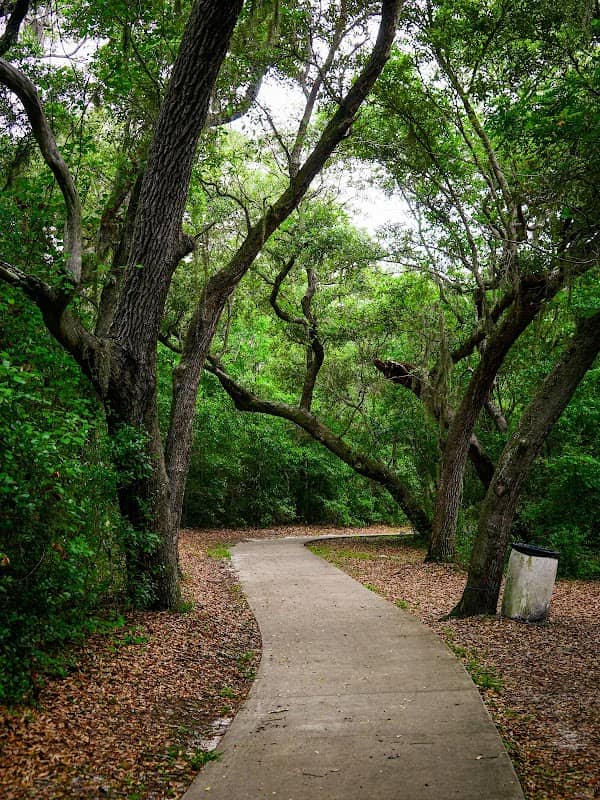 Shoreline Park Nature Trail - Image 1