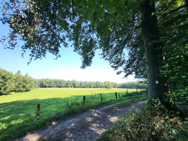 Hochkreuz - Image 1