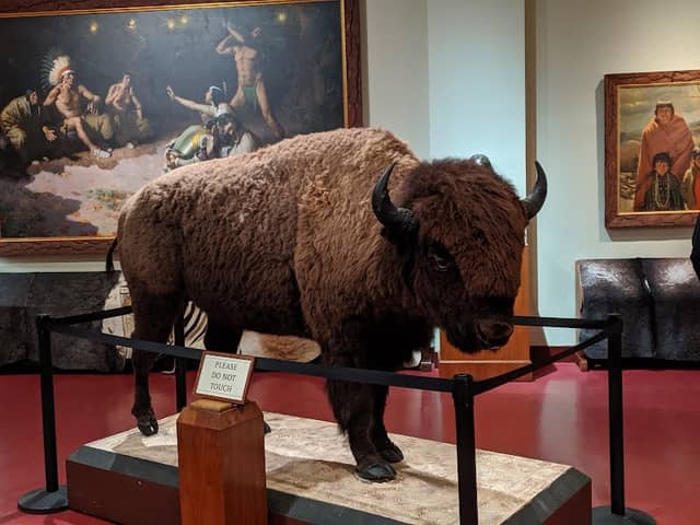 Woolaroc Museum & Wildlife Preserve - Image 1