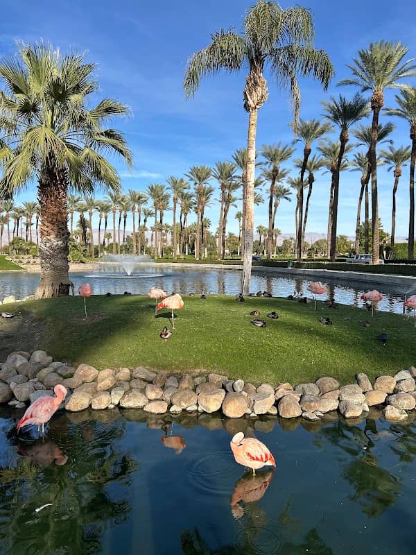Flamingo Sighting - Image 2