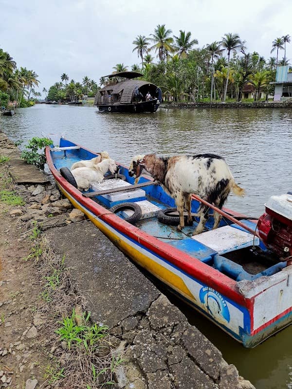 Govenda Boat Jetty - Image 3