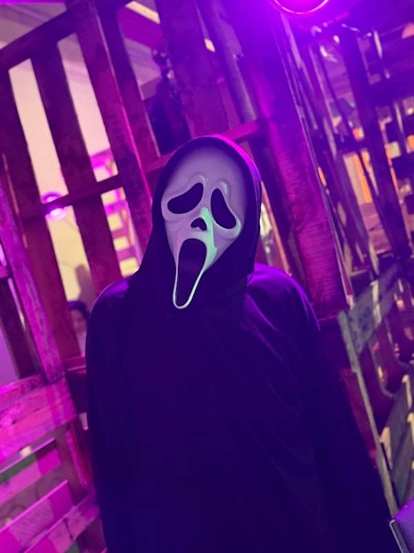 Scareview Haunted House - Image 1