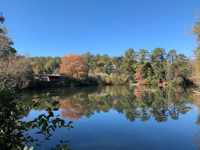 Chattahoochee Nature Center - Image 3