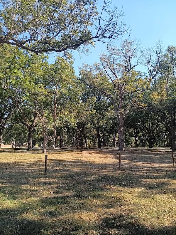 Nolte Island Recreation Area - Image 2