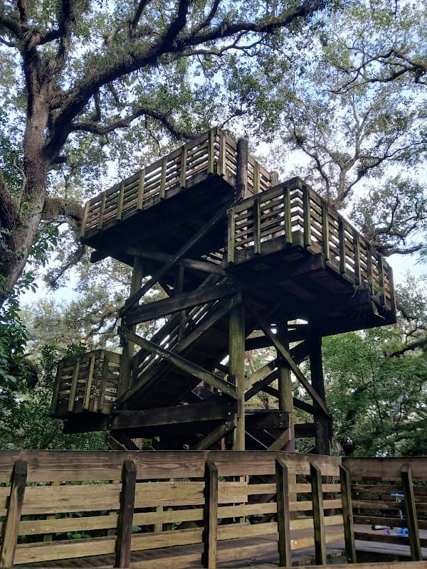 Viewing Tower at Tree Tops Park - Image 2