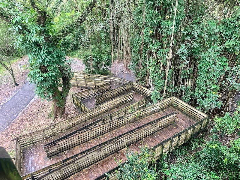 Viewing Tower at Tree Tops Park - Image 1