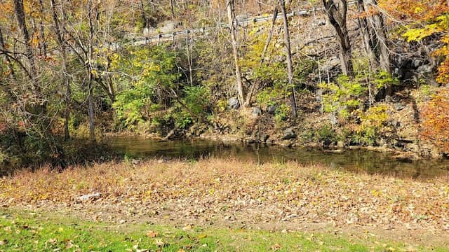Pugh Branch Stream - Image 1