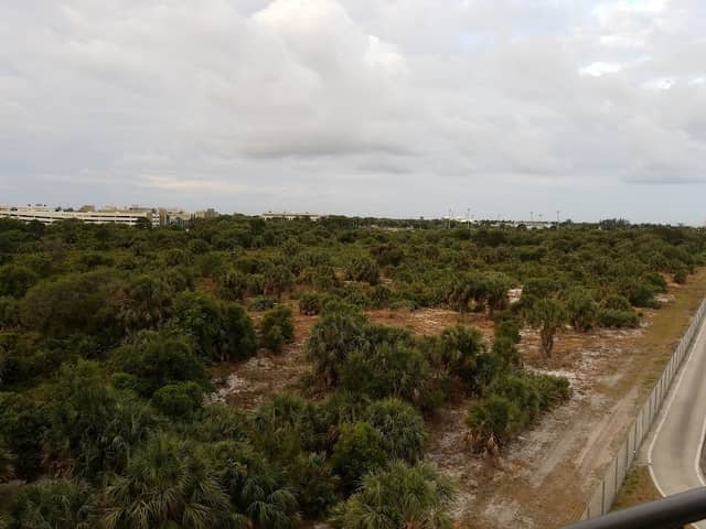 Florida Atlantic University Ecological Site - Image 1