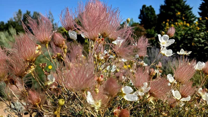 Treasure Island Demonstration Garden - Image 2