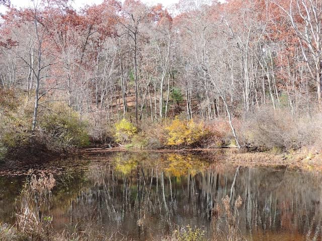 Laughing Brook Wildlife Sanctuary - Image 1