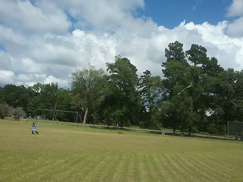 Ace Community Park - Image 1