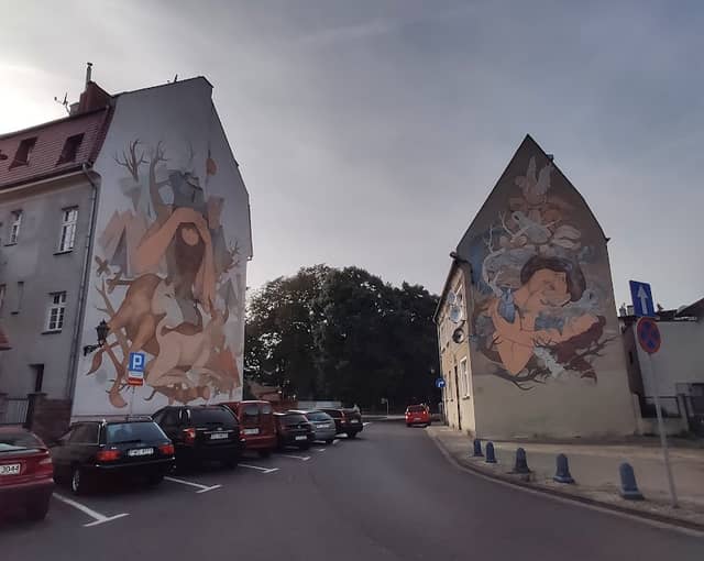 Leszczyńskie Murale - Image 1
