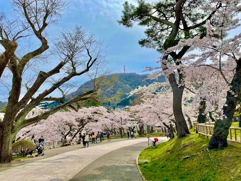 Hakodate Park - Image 1