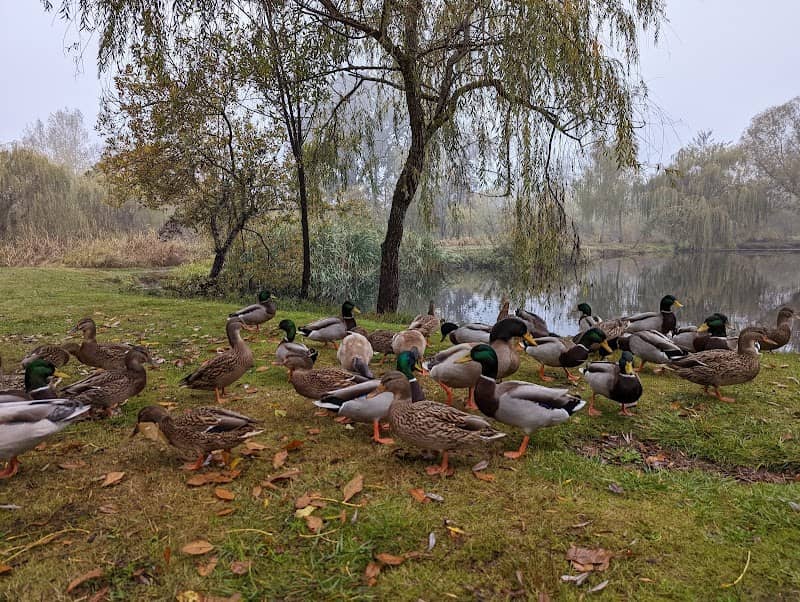 Marshall Community Park - Image 1