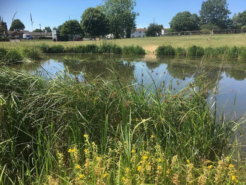 Bilborough Park - Image 1