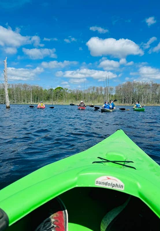 Black Bayou Lake National Wildlife Refuge - Image 2