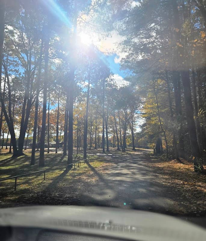 Area Park - Image 1