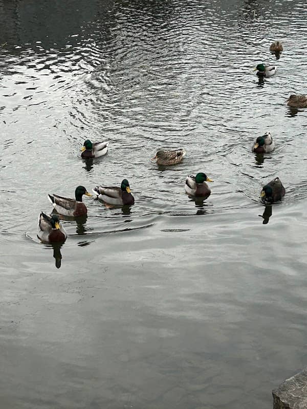 Lehigh Canal Park - Image 2