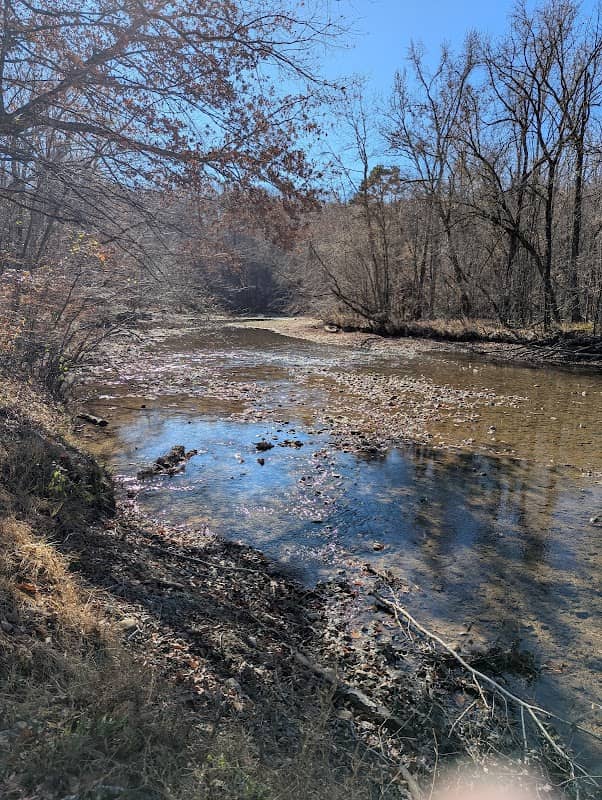 Swinging Bridge Park - Image 2